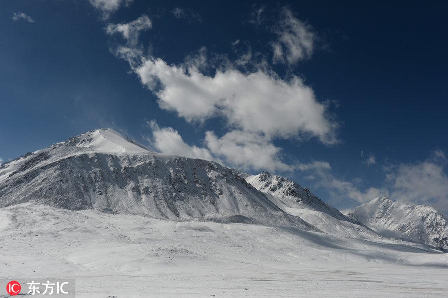 电子口岸ic卡长什么样电子口岸初始密码是多少