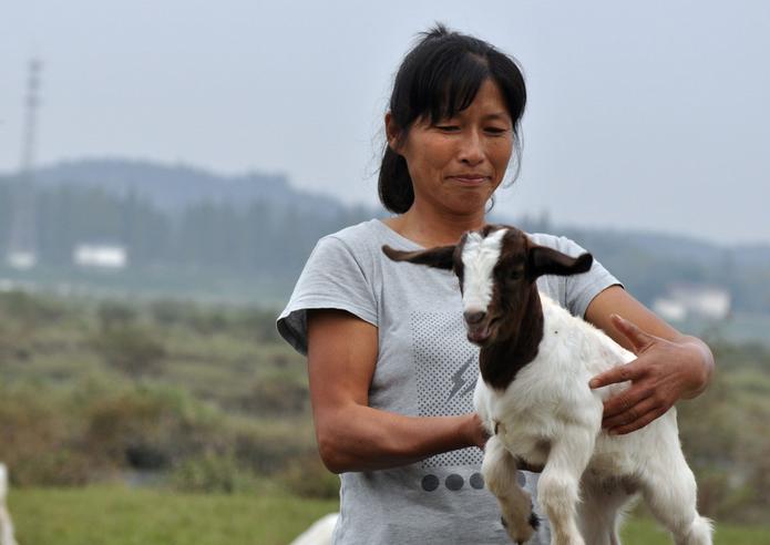 把国内商品卖到国外赚钱犯法吗(把国内东西卖到国外)