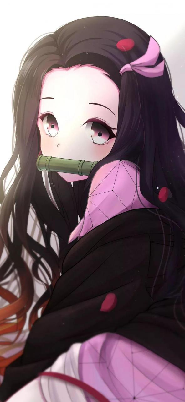 tiktok外网地址tiktok官网登录