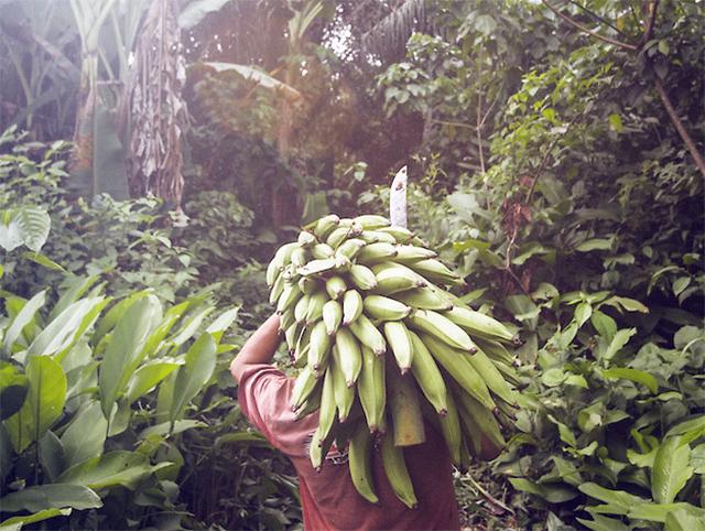 现在亚马逊什么东西好卖(亚马逊现在赚钱吗)