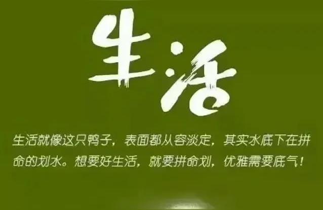 全民外贸平台最新消息(全民外贸官网)