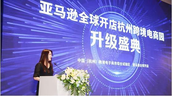 怎么进入亚马逊开店平台(怎么进入亚马逊开店平台)