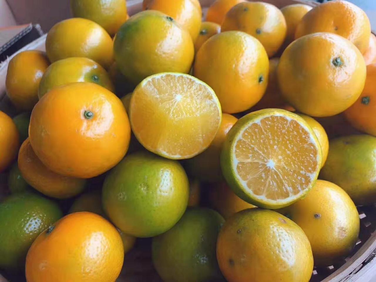 电商无货源模式各种表格为什么现在创业越来越难了