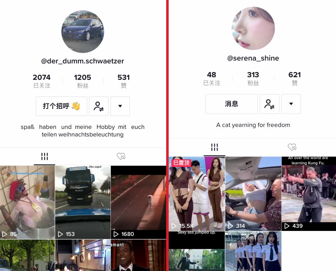 tiktok公会代理需要多少钱tiktok礼物分成比例