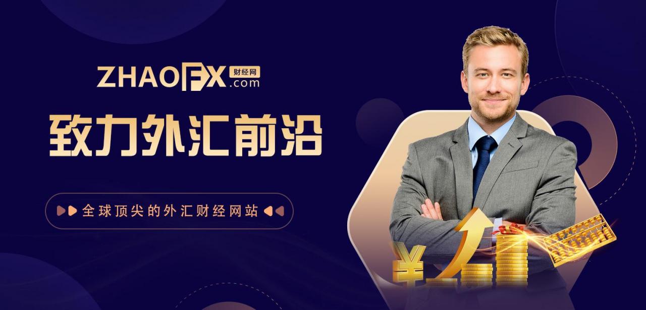 外汇有哪些(哪些外汇平台是正规的)