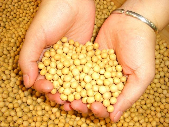 各省进出口数据怎么查(我国进出口数据哪里找)