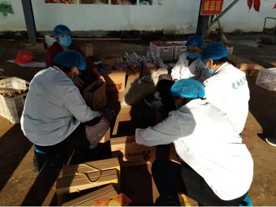 乡村电商如何开展农产品电商怎么做