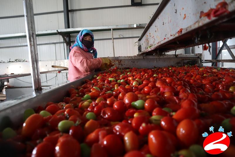 天润服装有限公司(天润服装公司)