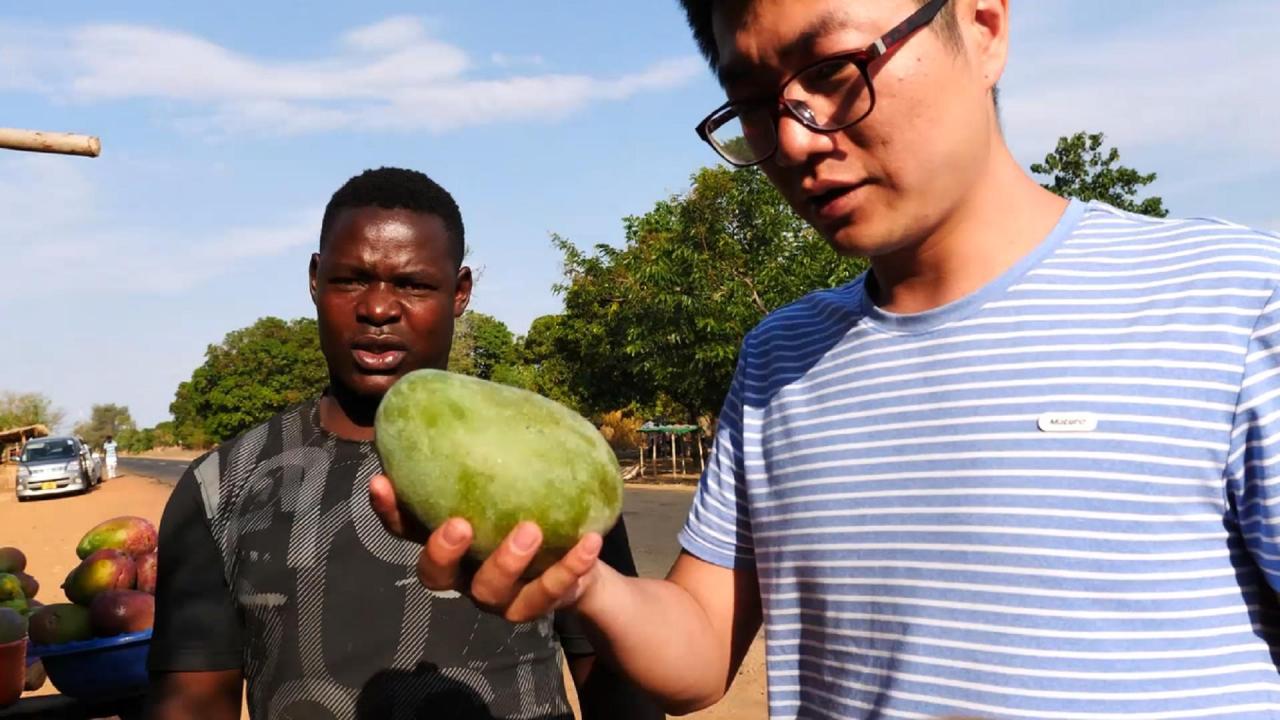 芒果tv借款好借吗(芒果贷是合法的吗)