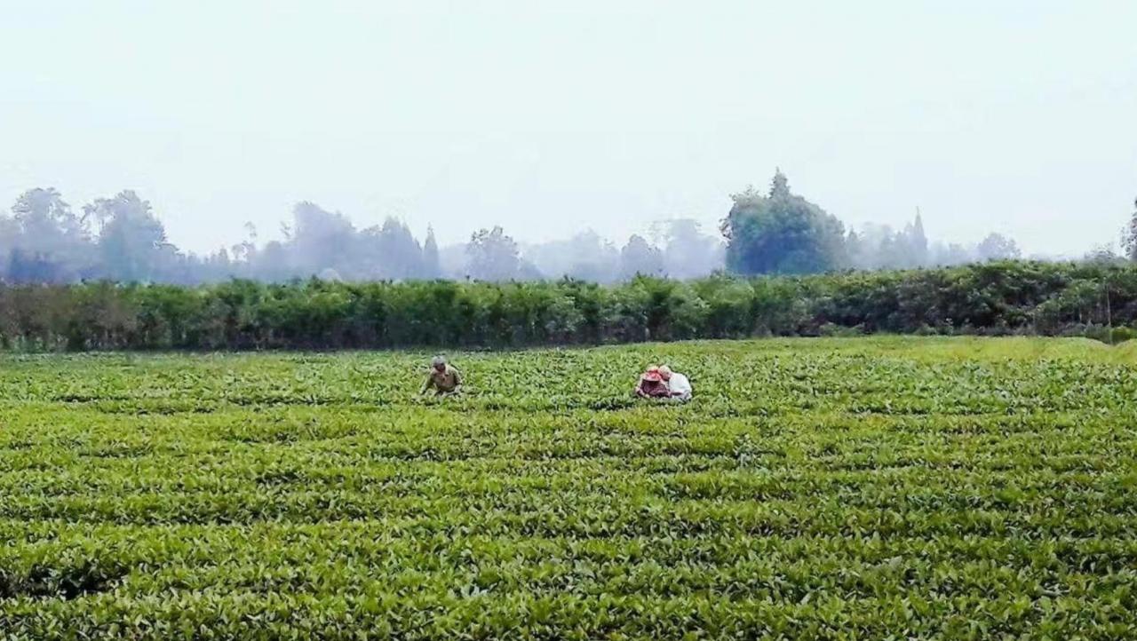 谁在成都拿过手工活的(成都哪里可以接手工活)