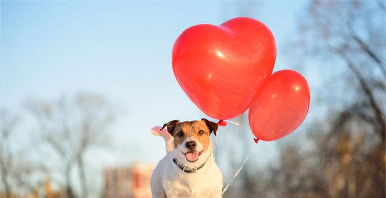 跨境电子商务平台都有哪些(国外的电商平台有哪几个)