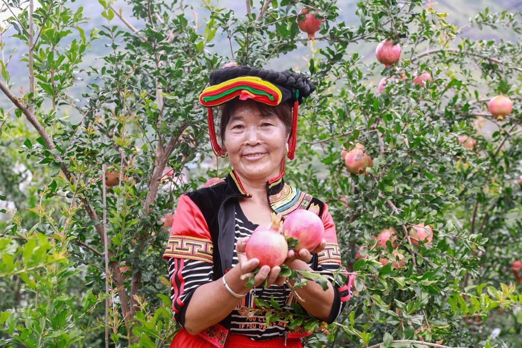 拼多多商户订单号查询网拼多多怎么查看客户订了多少钱