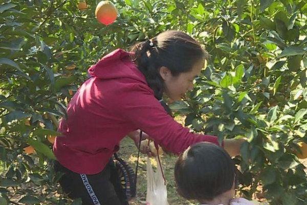 电商直播平台社交和电商结合的比较有特色的直播平台有哪些