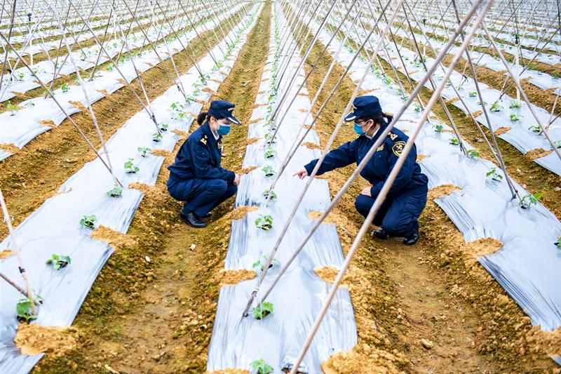 惠州外贸惠州商业学校现在叫什么名