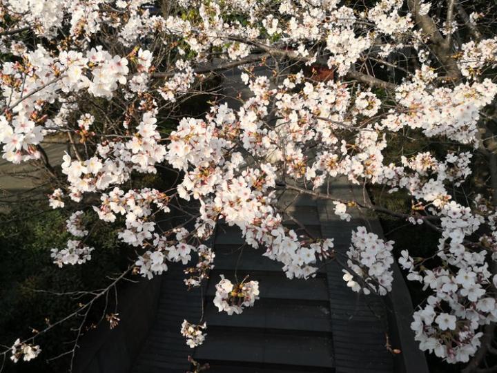 杭州兰业电子商务有限公司(杭州网兰电子商务有限公司类别)