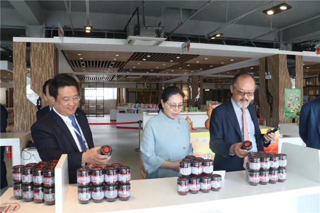 外贸公共服务平台建设方案(外贸公共服务平台官网)