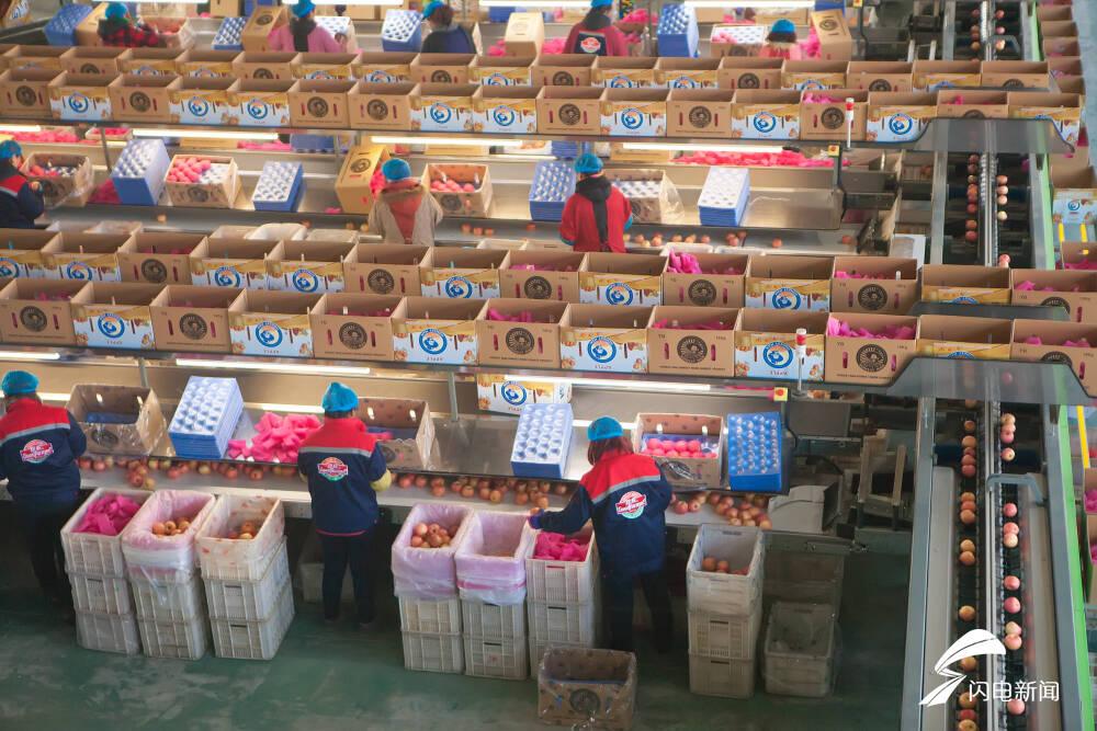 外贸运作模式我想做农产品出口贸易请问该怎么做