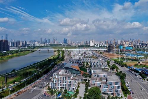 芒果巴士借款app(芒哩借款怎么样)