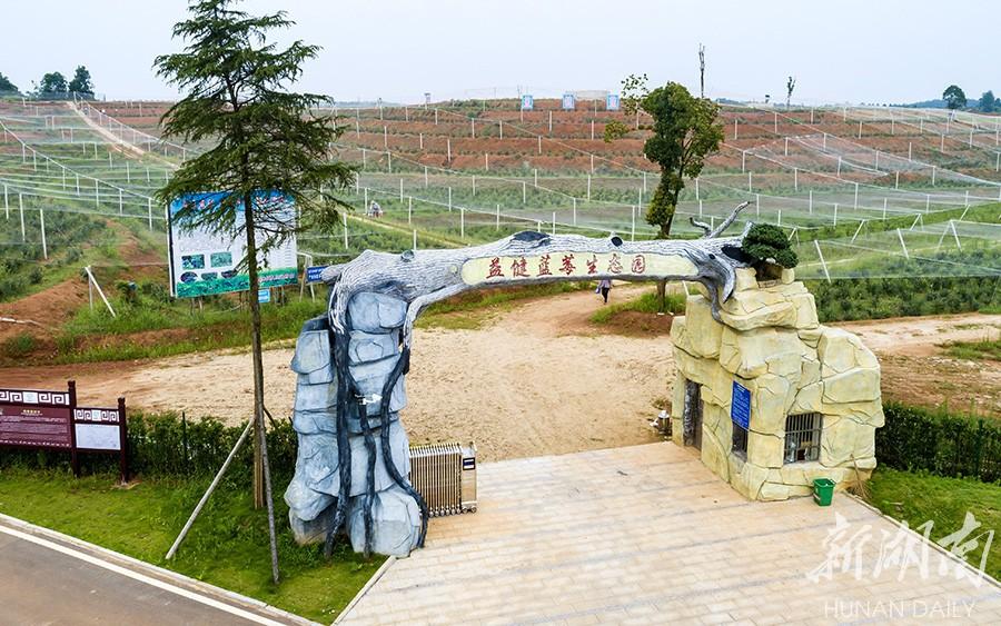 促佳贸易是做什么的公司(促佳贸易是具体做什么的)