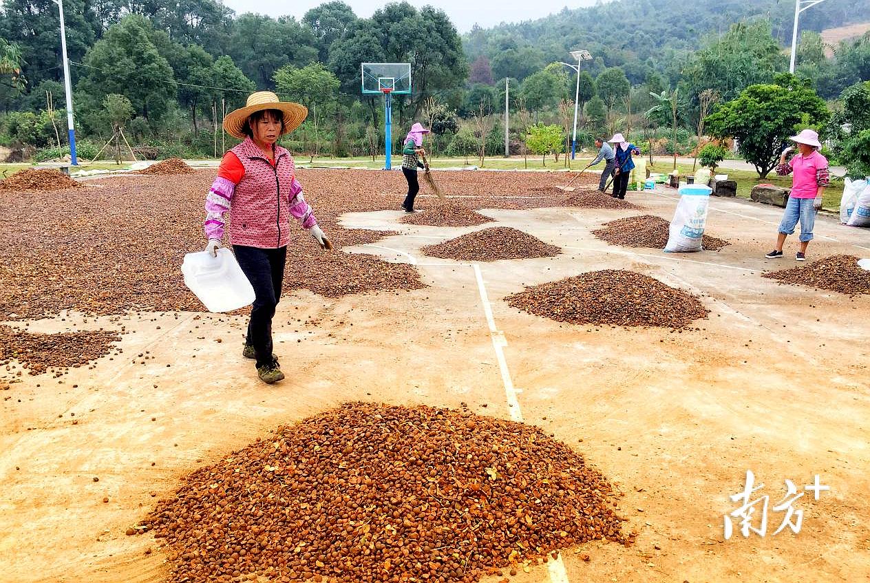 上海宝园注册公司企业法人证办理需要哪些材料