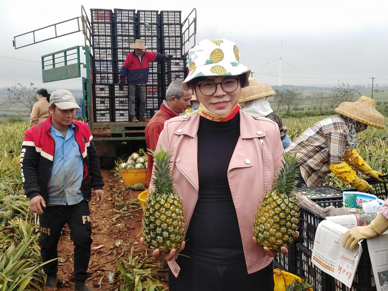 客商平台app下载在农村种了几十亩药材