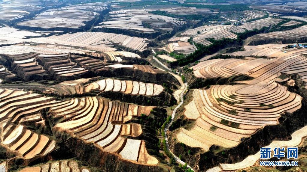 条形码扫一扫查价格软件下载(条形码扫不出来是不是假的)