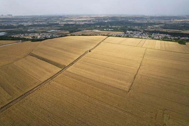 办理进口贸易需要什么手续(贸易公司做出口需要什么手续)