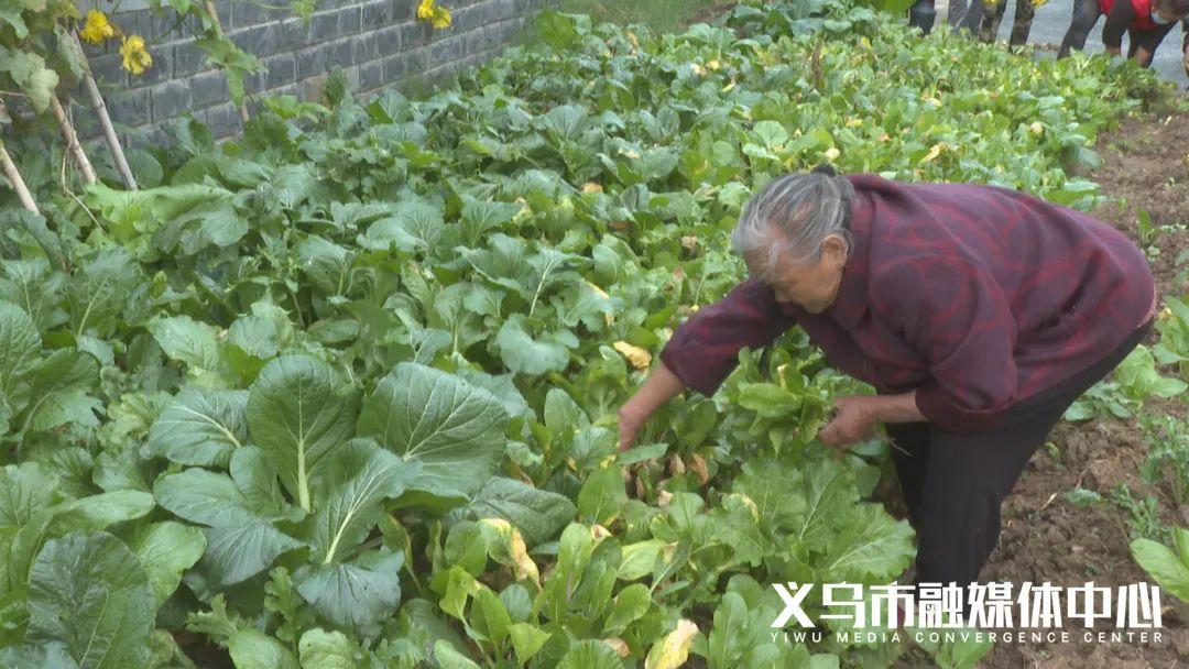 义乌小商品代加工义乌手工活外发加工可以拿回家做