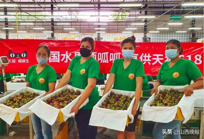 泰国市场分析报告(泰国电商发展情况)