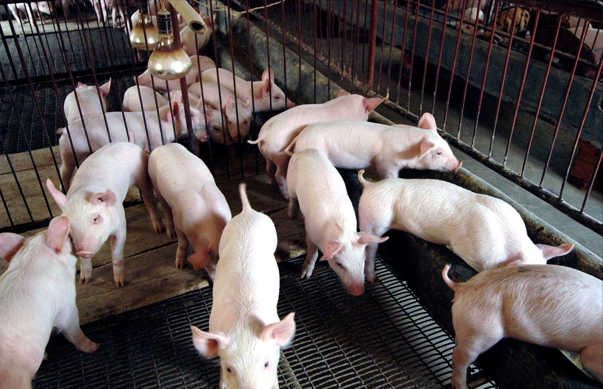 如何获取海关数据2021企业网上怎么查询报关单