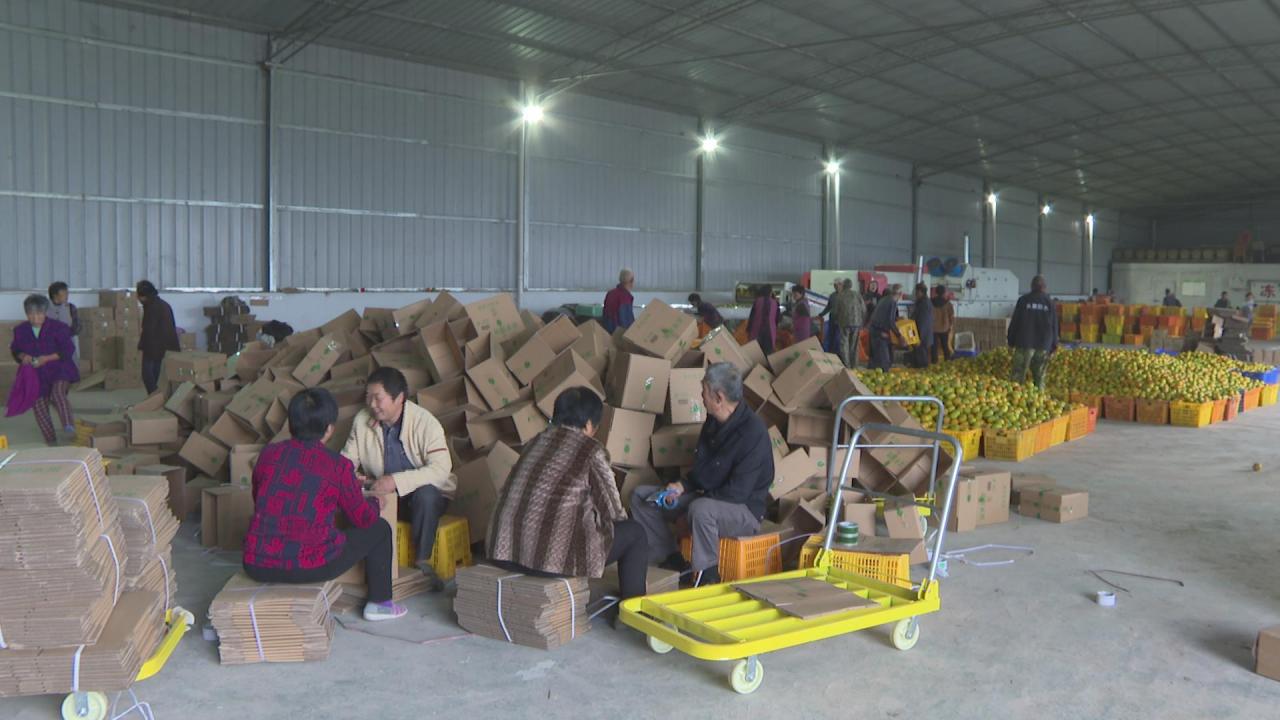 区域电商平台有哪些(电商哪个平台)