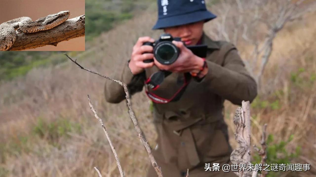 亚马逊个人开店使用候鸟浏览器(亚马逊创业使用候鸟浏览器)