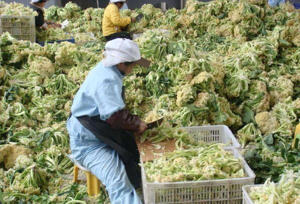 海关数据处理工作跨境通关数据多久能查到