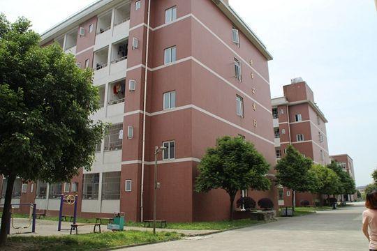 医药专业学什么(医药专业毕业后干什么工作)