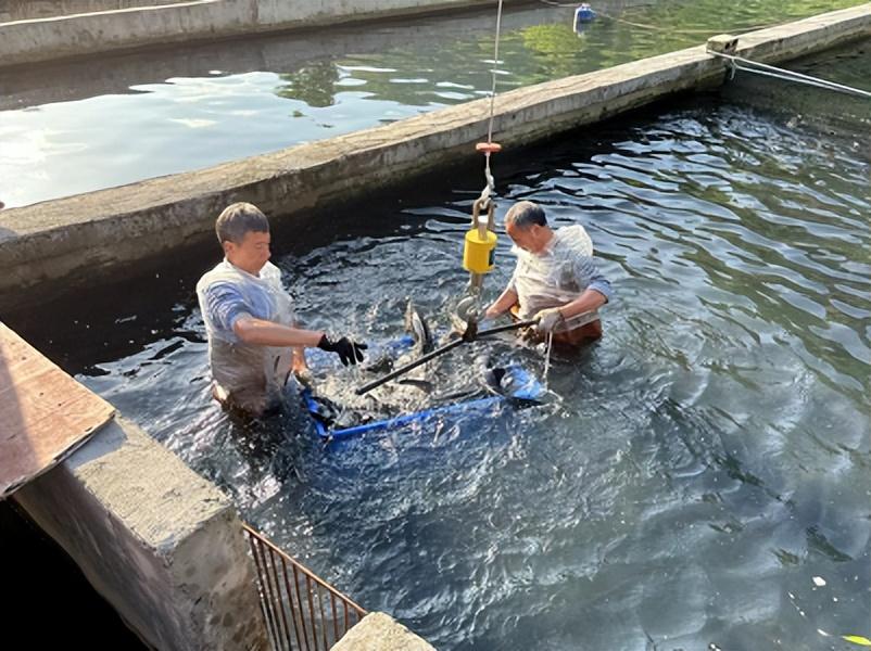 越南进出口公司从越南进口鸭绒需要走什么程序