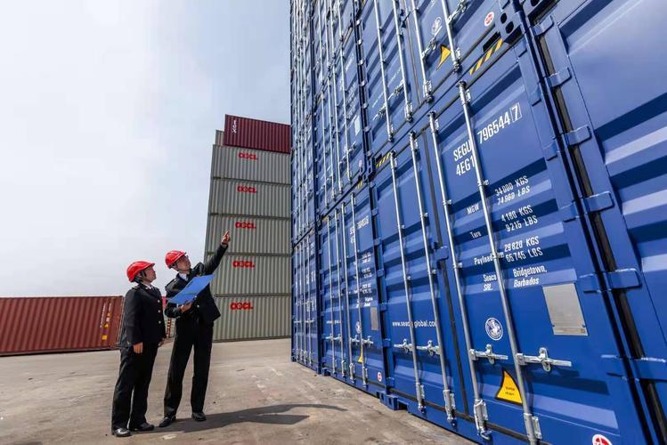 海关法人卡是什么样的单一窗口操作员ic卡密码忘了