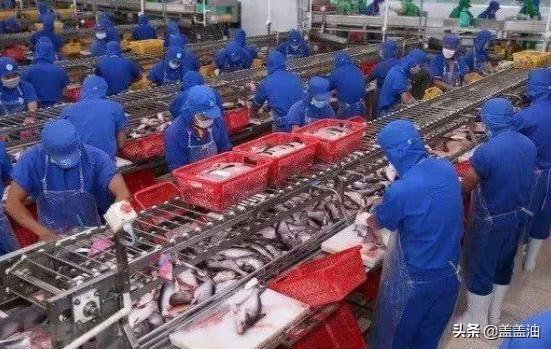 出口贸易订单2020年主要出口产品大类