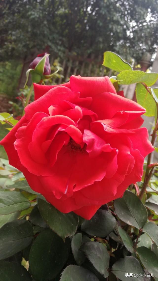 跨境电商的本质（跨境电商基本含义）