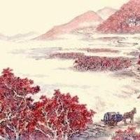 零基础学设计怎么学好（零基础学设计怎么学比较好）