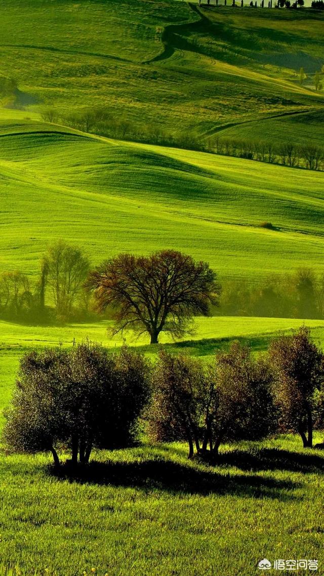 全球速卖通平台类型（全球速卖通网站的特点）