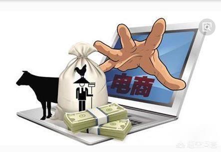 新手如何做电商(新手电商如何入门赚钱视频)