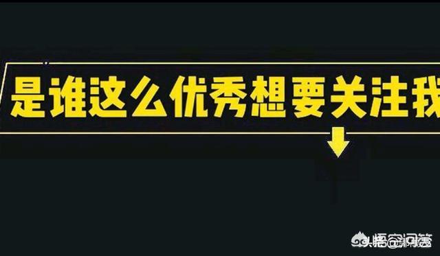电商行业未来发展的趋势可能会向哪些方向迈进?(电商的未来发展前景)