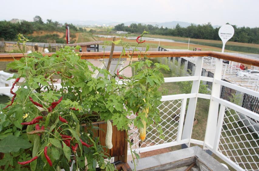 家庭农场注册商标流程及费用树木栽培产品注册商标属于哪一类