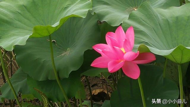 跨境电商的本质（跨境电商基本含义）