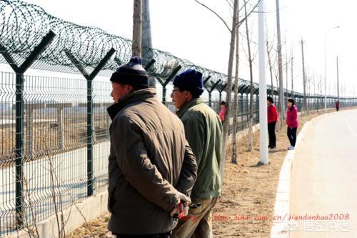 跨境电商运营平台主要是做什么的?(跨境电商平台如何运营)