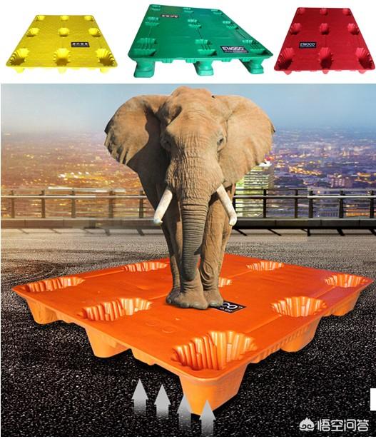 我想做跨境电商赚钱（我想做跨境电商,不知怎么入门）