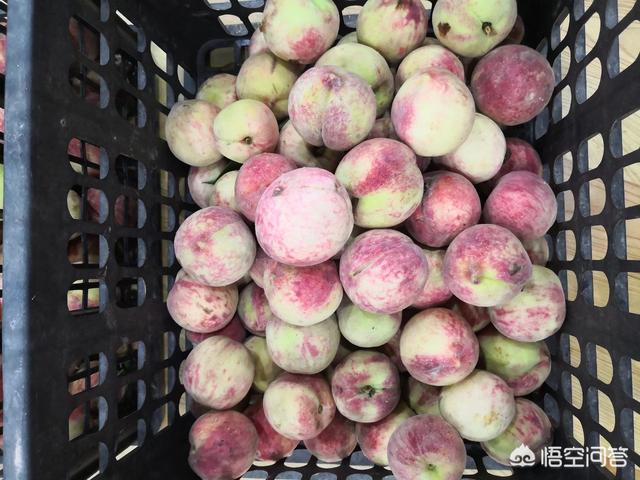 电子商务的行业发展前景(对电子商务的发展前景)