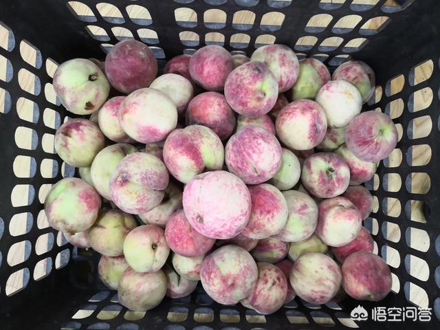 电子商务的行业发展前景(对电子商务的发展前景)