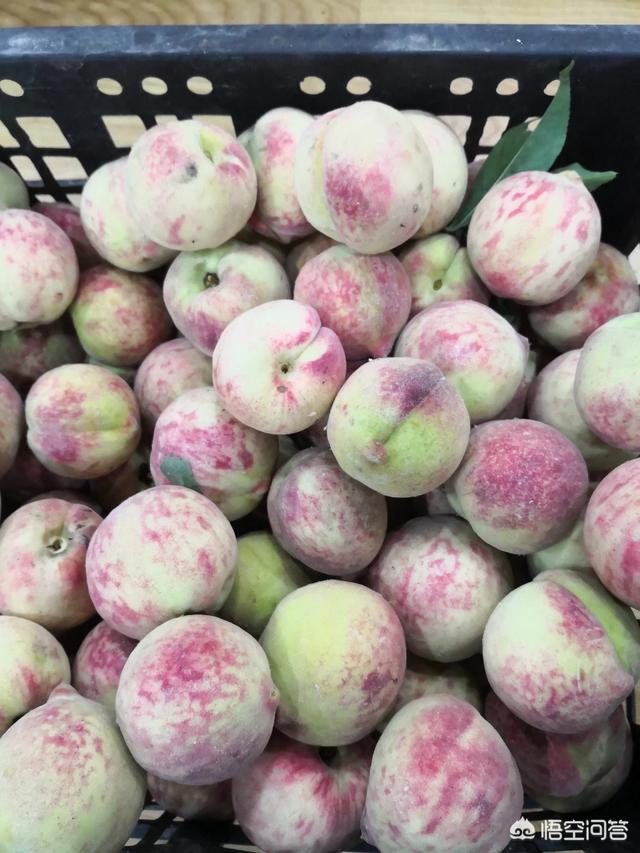 买网店有什么平台(买网店平台哪家好)