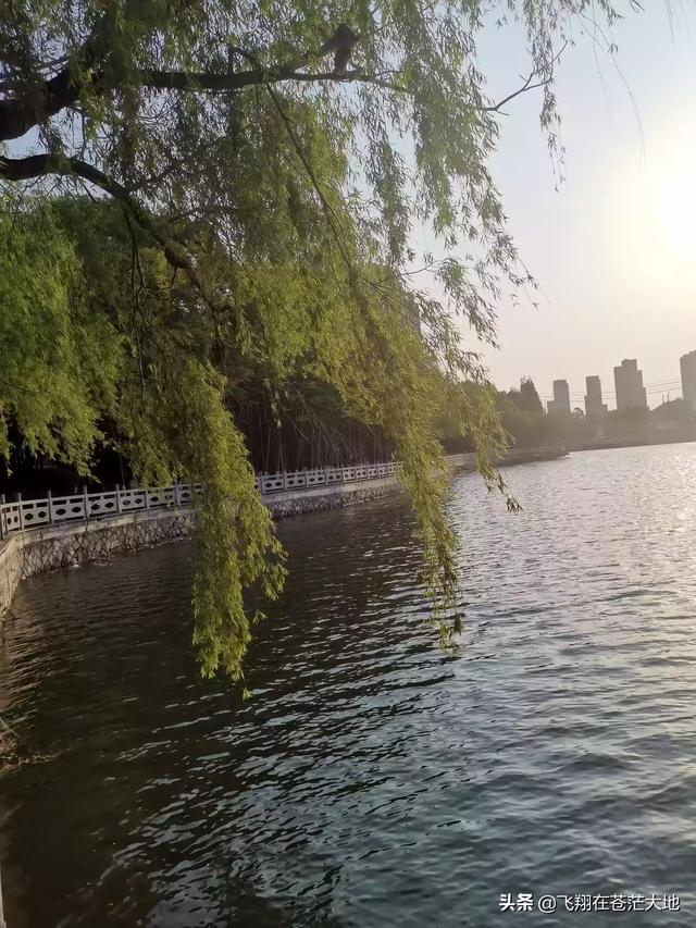 多多网 跨境社区(多多网跨境电商曝光)